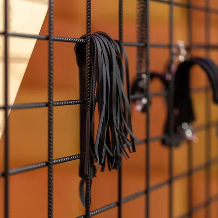 Secret Bdsm Daire