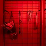 Secret Bdsm Apartment